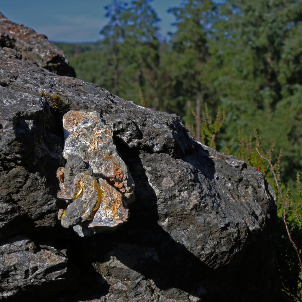 Glass Onion in situ
